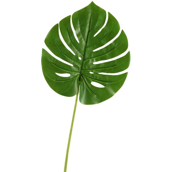 bay-isle-home-medium-split-leaf-philo-stem-reviews-wayfair